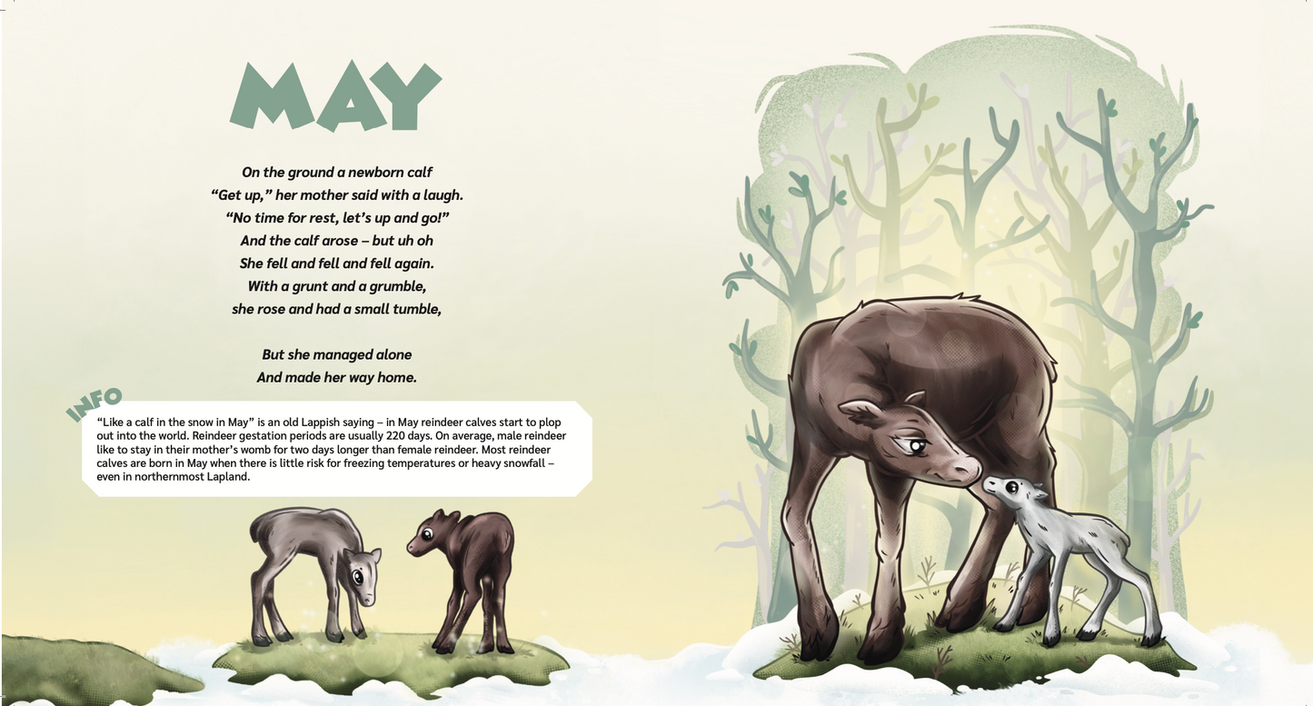 Sample pages of the book Reindeer's Years